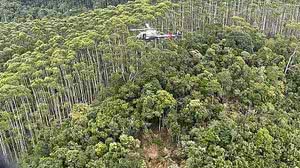 Reprodução / Redes sociais