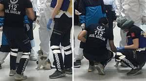 Reprodução/Twitter