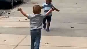 Reprodução / Vídeo