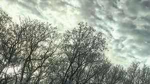 Imagem Pausa para a leitura: A luta do luto