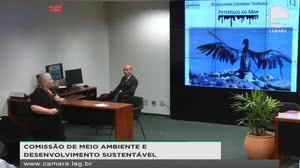 Imagem 'Limpeza de praias é maquiagem pra inglês ver', diz professora da USP