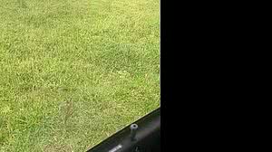 Passageira de helicóptero que sumiu registrou foto do pouso de emergência | Reprodução / Folha de S. Paulo