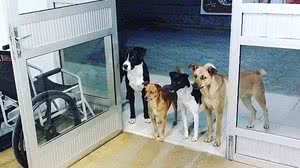 Reprodução / Redes Sociais