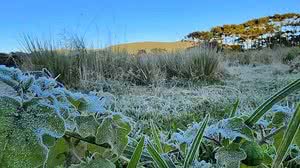 Mycchel Legnaghi / São Joaquim Online