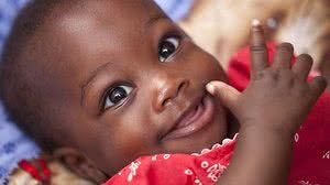 Descoberta veio no estudo de cruzamento de genes | Pexels