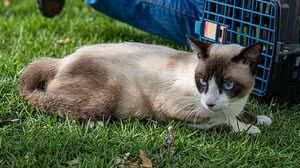 Secom Maceió / Célio Júnior