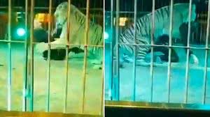 Foto: Reprodução/Redes Sociais