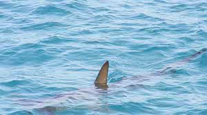 Imagem ilustrativa | Pixabay