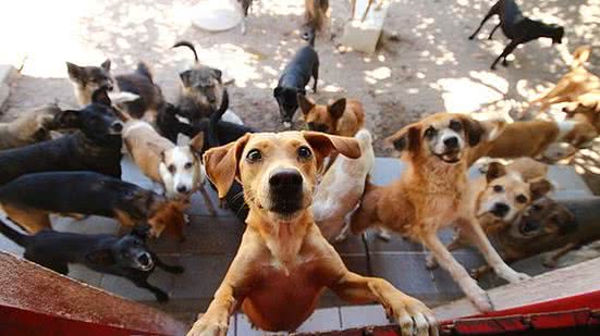 Karina Morais/Arquivo DP