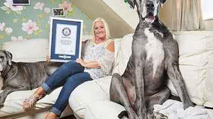 Guinness World Records/Divulgação