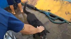 Mauro Sergio Lopes Silva