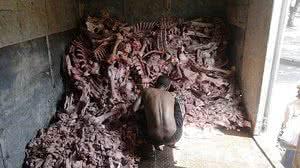 Domingos Peixoto / Agência O Globo