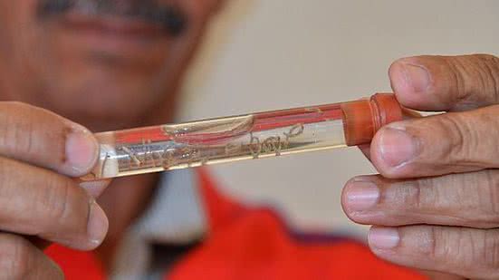 Carla Cleto/Ascom Sesau