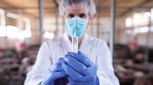 Reprodução / Freepik