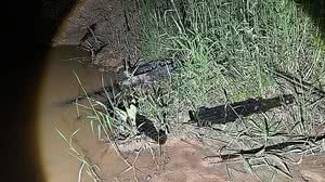 Divulgação / Polícia Civil