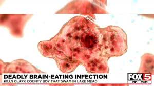 Foto: Reprodução/Fox 5 Vegas