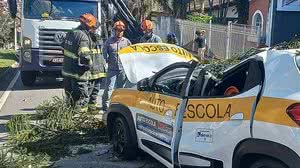 Divulgação/Corpo de Bombeiros