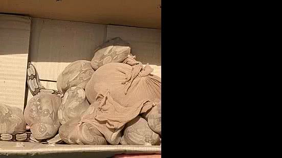 Reprodução / TV Globo