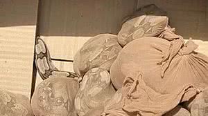 Reprodução / TV Globo