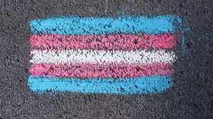 Foto: Reprodução/Pexels