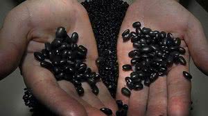 Foto: Reprodução/Agência Brasil