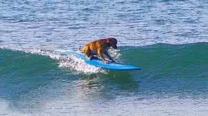 Juca de Barros / Arquivo pessoal