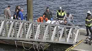 Reprodução / Dustin Safranek/Ketchikan Daily News via AP