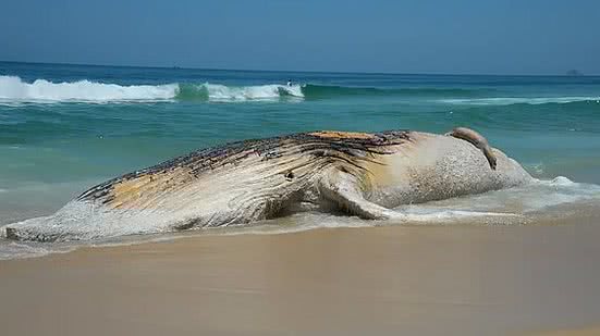 Tomaz Silva / Agência Brasil