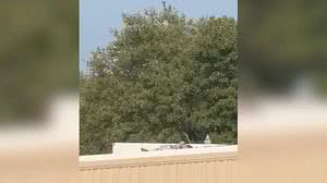 Atirador de Trump em atentado | Reproduçaõ/CNN