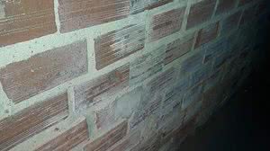 Sal em parede da residência do morador José Honório de Omena | Williamis Tavares / TV Pajuçara