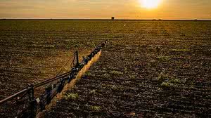 Foto: Reprodução/Wenderson Araújo