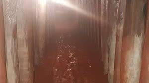 Divulgação / Polícia Civil