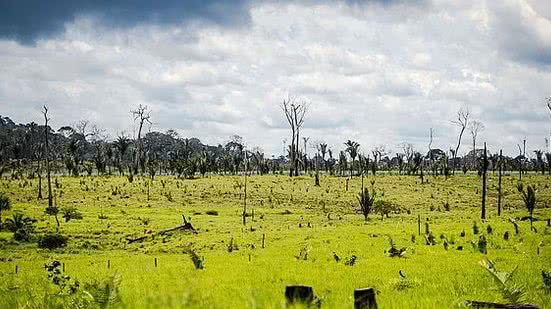 Foto: Marcelo Camargo / Agencia Brasil