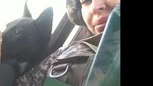 Thalita do Valle, que morreu na guerra da Ucrânia, atuava em uma ONG em defesa dos animais | Arquivo pessoal