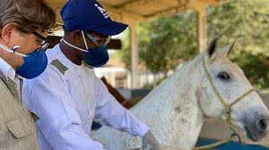 Foto: Arquivo/Instituto Vital Brazil