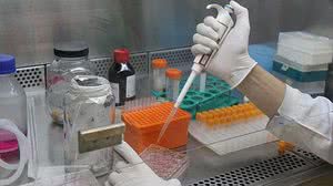 Imagem Covid-19: Brasil registra mais 1.274 mortes e 52.160 casos