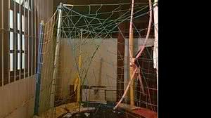 Grávida de 4 meses pulou do segundo andar e sobreviveu após cair em pula-pula | Reprodução