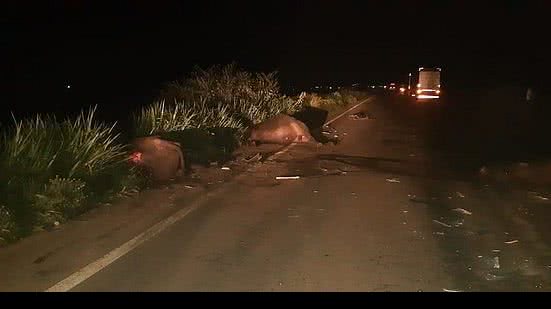 Reprodução/O Imparcial