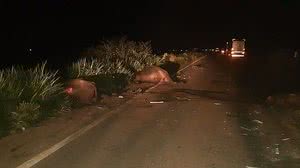 Reprodução/O Imparcial