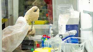 Foto: Itamar Crispim / Fiocruz / Reprodução