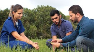 Imagem Por que o engenheiro agrônomo é uma das profissões do futuro?