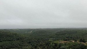 Arquivo/TNH1/Theo Chaves