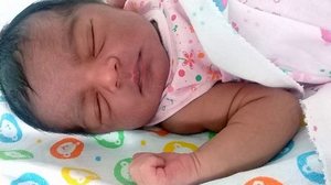 Reprodução Whatsapp