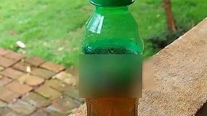 Reprodução/Polícia Civil