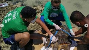 Reprodução Instagram