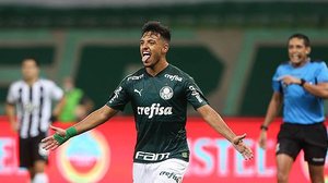 Divulgação / Palmeiras