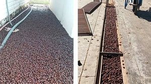 Reprodução / Redes sociais