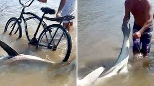 Reprodução / Abemael de Lima no Facebook