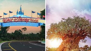 Reprodução / Instagram