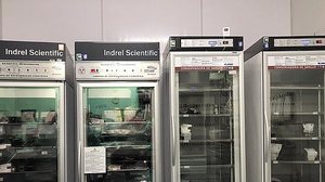 Geladeiras de armazenamento de sangue do Hemoal estão praticamente vazias para abastecer hospitais | Foto: Ascom Hemoal